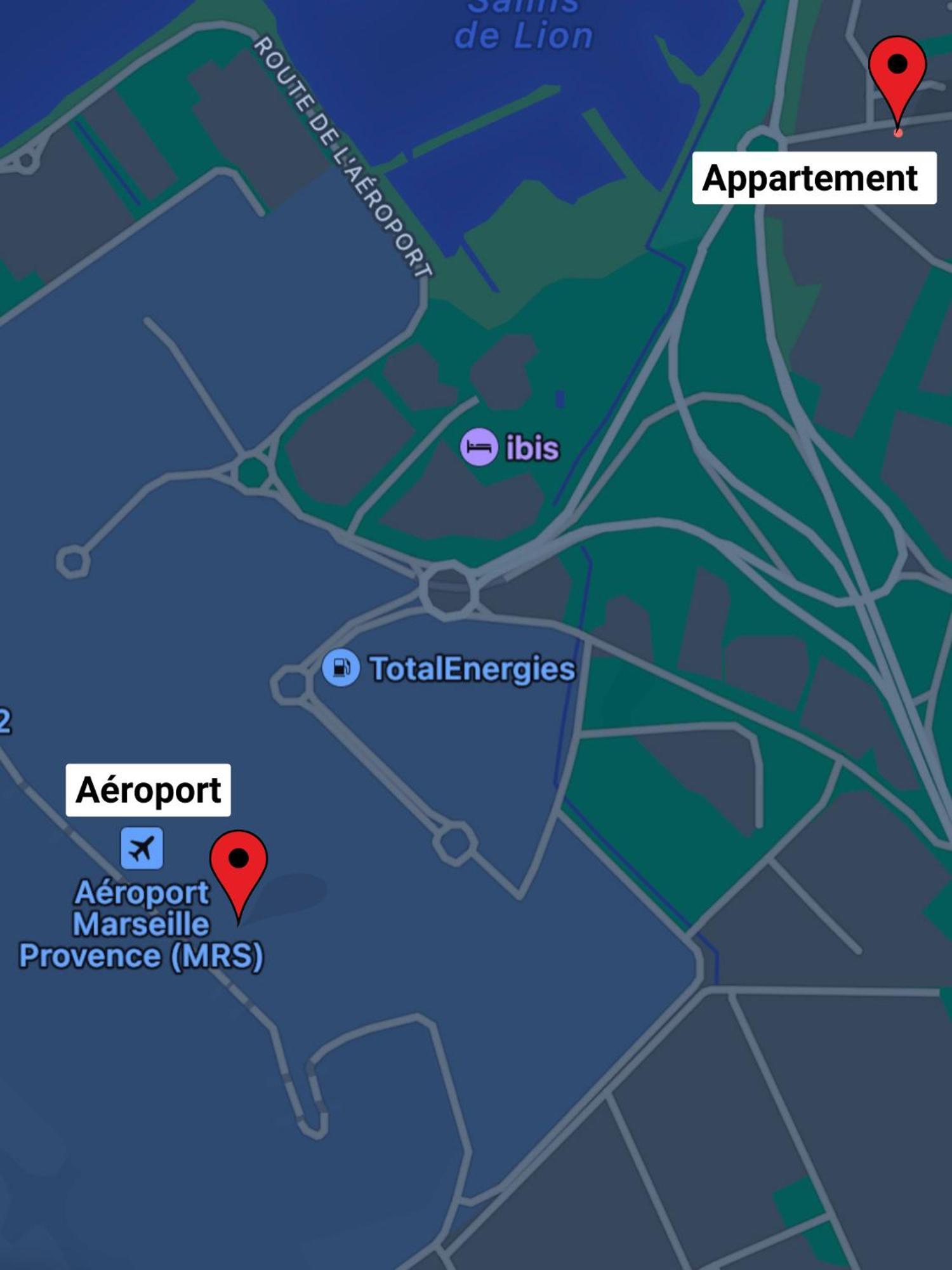 Superbe Appart Avec Jardin A 2 Min De L'Aeroport-4 Pers فيتروي المظهر الخارجي الصورة